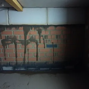 Co na mokre ściany w piwnicy