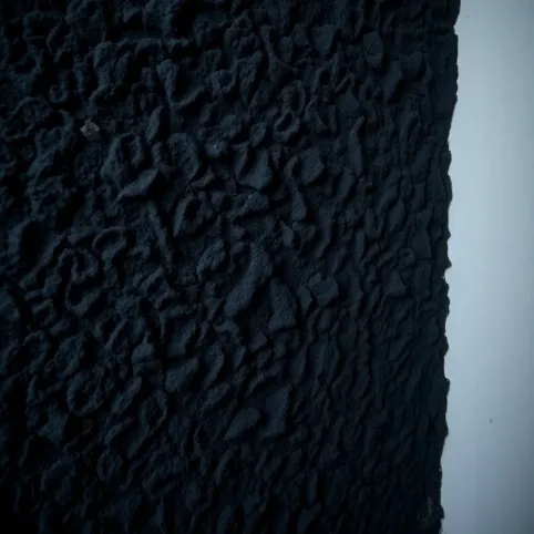 Czy pleśń na ścianie jest szkodliwa