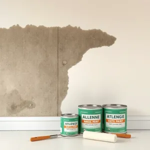 Czym pomalować ściany z grzybem