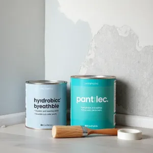 Czym pomalować ściany z wilgocią