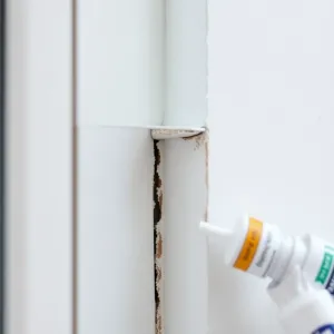 Czym wypełnić szczeline między oknem a ścianą