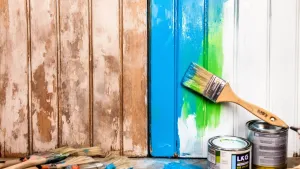 farby do boazerii kolor