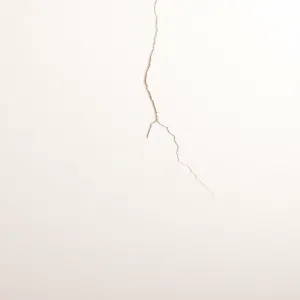 Jak naprawić pęknięcia sufitu w blokach z płyty