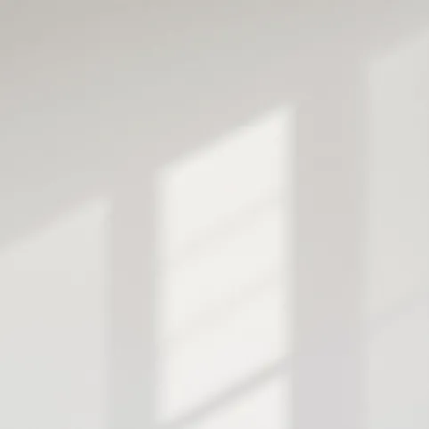 Jak nazywa się pierwsza warstwa farby na ścianie