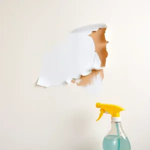 Jak usunąć tapetę winylową ze ściany