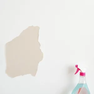 Jak usunąć zacieki na ścianie