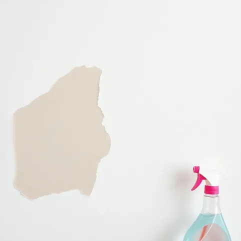 Jak usunąć zacieki na ścianie