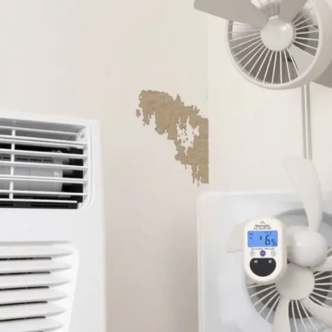 jak zabezpieczyć ścianę przed grzybem