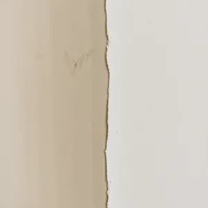 Jaka farba na wilgotne ściany