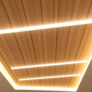 Lamele z ledami na sufit