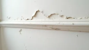 listwy tynkarskie czy wyciągać