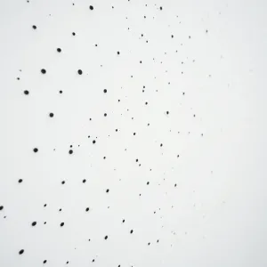 Małe czarne kropki na ścianie