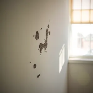 Odgrzybianie Ścian Warszawa Ceny