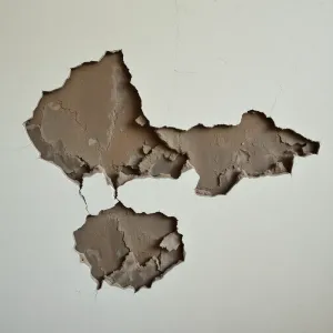 Osuszanie ścian koszt