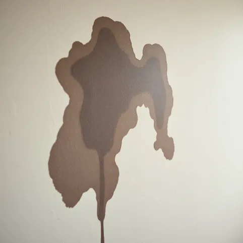 Plamy na ścianie jakby mokre