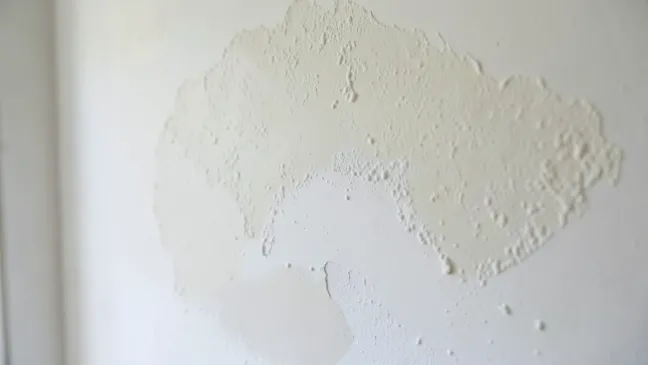 po co gruntować ściany