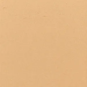 Rodzaj dekoracyjnego wykończenia ściany budynku