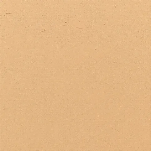 Rodzaj dekoracyjnego wykończenia ściany budynku