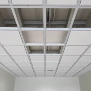 Sufit thermatex cena robocizny