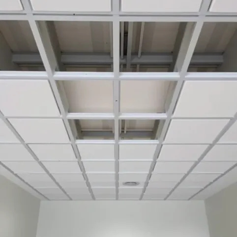 Sufit thermatex cena robocizny