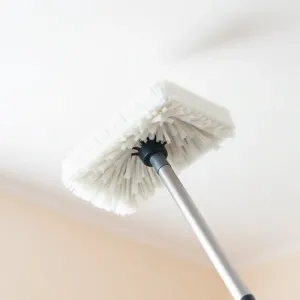 Szczotka do mycia sufitu