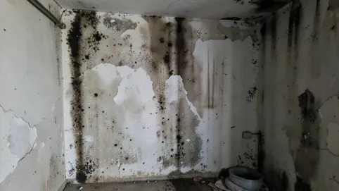 tynk na wilgotne ściany