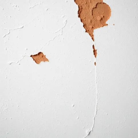 zawilgocone płyty gk