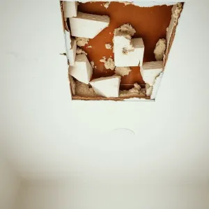 Zrywanie kasetonów z sufitu cena