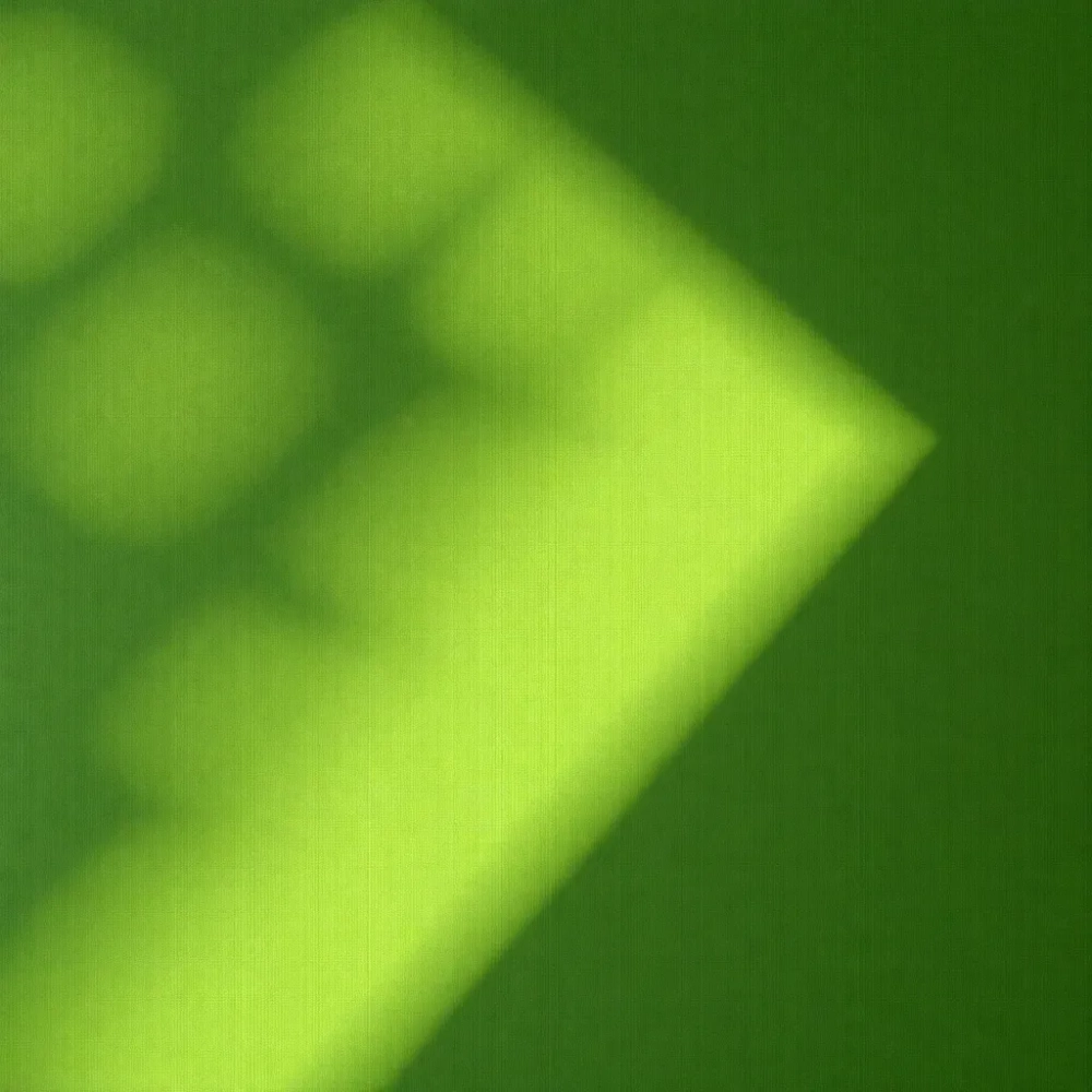 Zielone tapety na ścianę